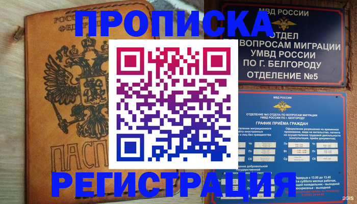 прописка для работы в Котово